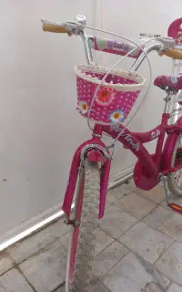 دوچرخه