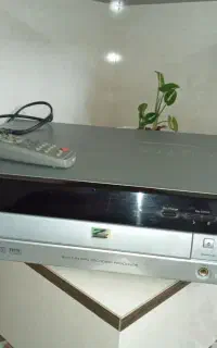 سیدی