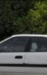 زانتیا