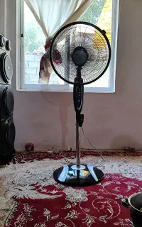 پنکه