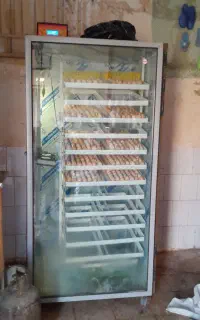 دستگاه جوجه کشی مشهد.برق