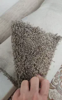 موکت پرز بلند ظریف