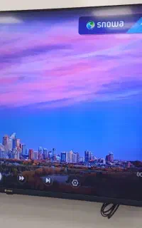 تلویزیون هوشمند اسنوا ودوو