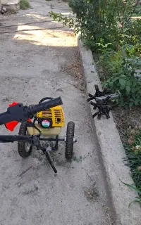 علف زن کنزاکس