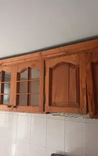اجاره همکف دامپزشکی
