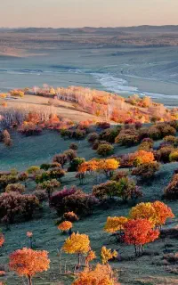 راهنمایی و مشاوره