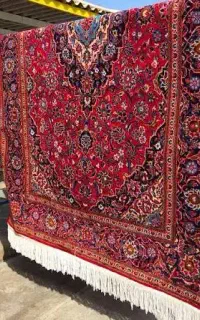 قالیشویی تمام اتوماتیک دلفین