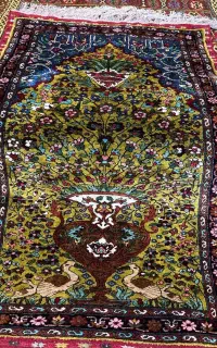 برند دویدوخ علیا