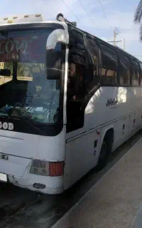 توبوس ۴۵۷به مدل۸۱