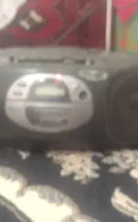 ظبط
