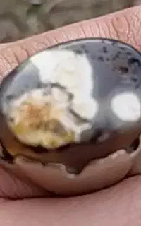 انگشتر سلیمانی