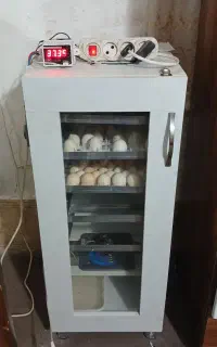 دستگاه جوجه کشی ۲۱۰