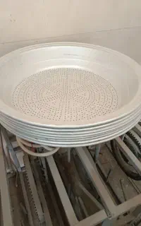 آشپال