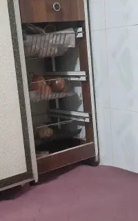 جا سیب زمینی پیاز