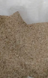 عمده فروشی برنج کامفیروزی