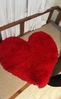 پادری قلب