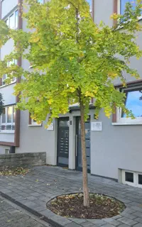 تدریس خصوصی