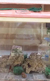 فروش وسایل آکواریوم