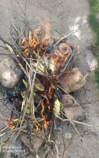 نیازمند خانم مسلط به کامپیوتر