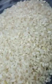 برنج نیم دانه طارم،