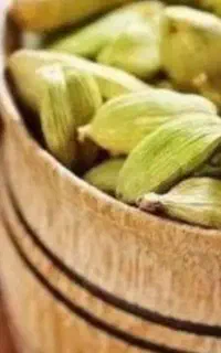 فروشنده محصولات گیاهی