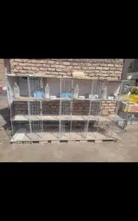 جفتگاه