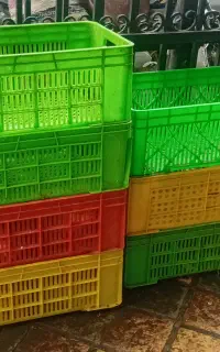 فروش جعبه مرغی