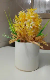 کلکسیون چوبی