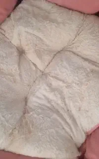 تشک سگ و گربه