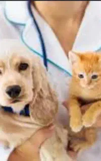 همکار برای داروخانە دامپزشکی