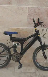 دوچرخه