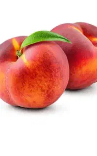 اجاره هلو