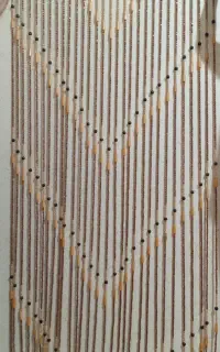 پرده مهره ای