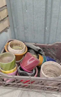 تعدادی گلدان سرامیکی و پلاستیکی محکم
