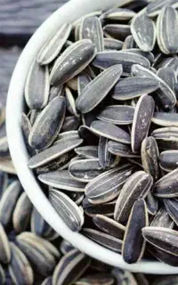 پخش عمده تخمه خارجی کانادایی/لوکس و کرارکر