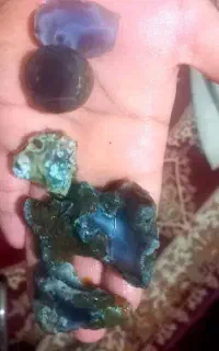 ۵ تا شجر فردوس ناب ناب