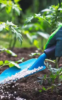 خدمات متخصص باغبانی درختکاری کوددهی گلکاری