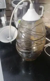 لوستر تک شاخه