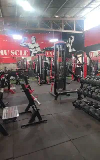 برنامه تمرینی باشگاه