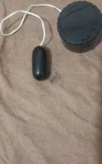 اسپیکر اصلی