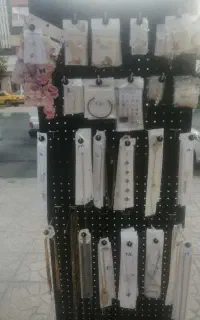 بدلیجات