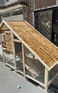 قفس مرغ و خروس