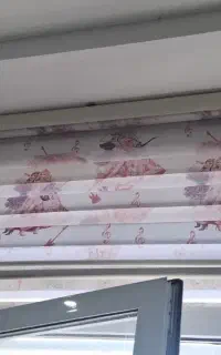 پرده زبرا