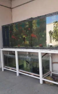 اکواریوم بزرگ + سامپ