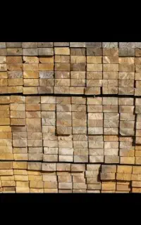 واردات چوب روسی استاندارد