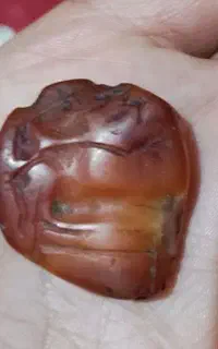 نشان کهنه ایلامی
