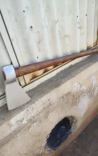 تبرجنگل