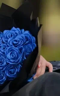 گل ربانی17شاخه(سفارش هم پذیرفته میشود)