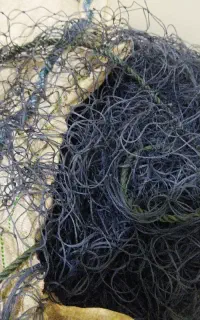 تورشیری پرژوکتوری