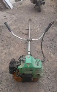 علف زن ژاپنی اصل .چکی.